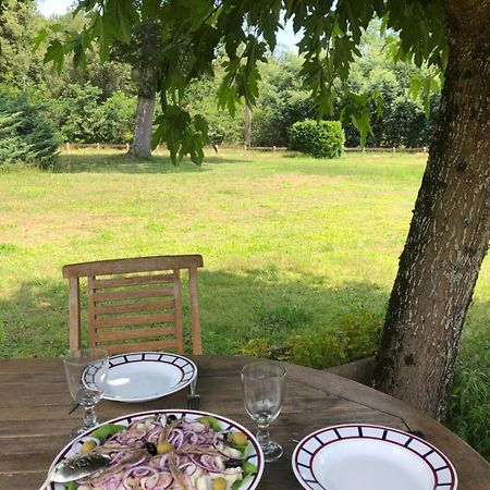 Appartement En Pleine Nature 苏斯通 外观 照片